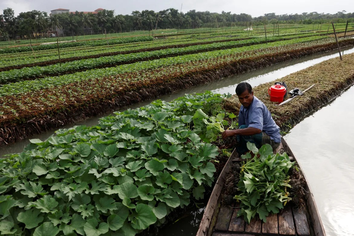 Creating Access to Finance for Farmers 